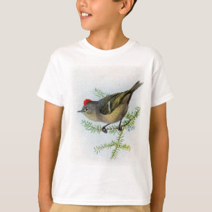T-shirt Kinglet Rubis-couronné