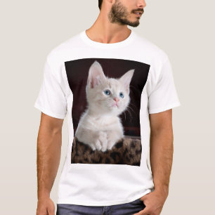 T-shirt Kitten blanc vulnérable