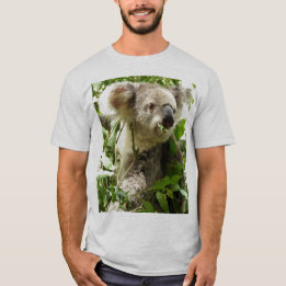 T-shirt Koala