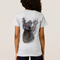 Koala Hang Sur Le Dos Cute Ours Australie Animal