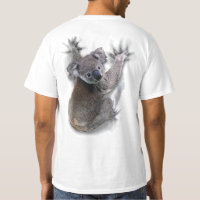 Koala Hang Sur Le Dos Cute Ours Australie Animal