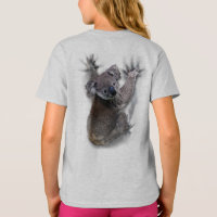 Koala Hang Sur Le Dos Cute Ours Australie Animal