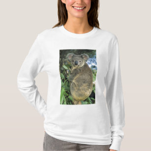 T-shirt Koala, Phascolarctos cinereus), en voie de dispari