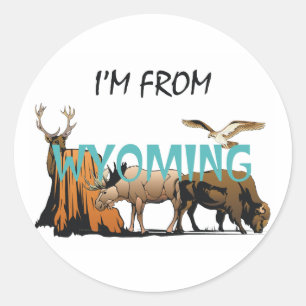 T-SHIRT komme ich aus Wyoming Runder Aufkleber