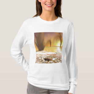 T-shirt La calotte glaciaire polaire du sud martienne