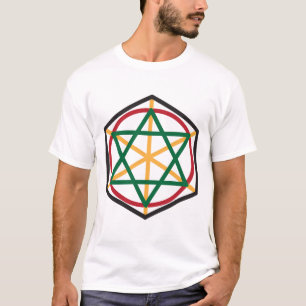 T-shirt La chemise organique du DJ Delphes