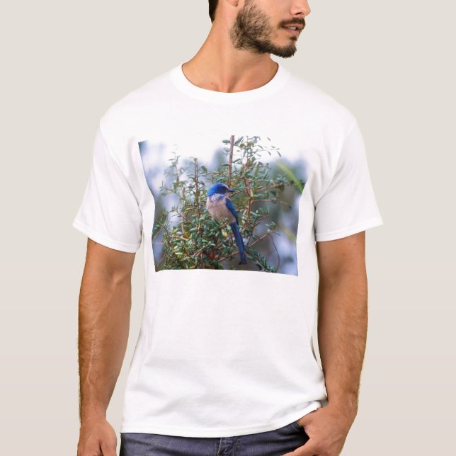 T-shirt La Floride frottent le geai (Devant)