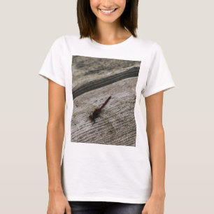 T-shirt La libellule rouge