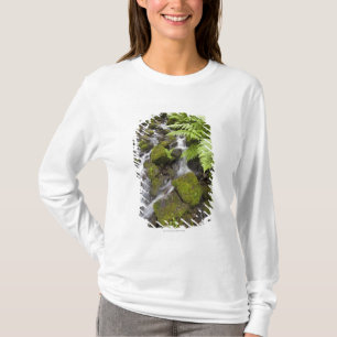 T-shirt La mousse a couvert des roches d'eau et de