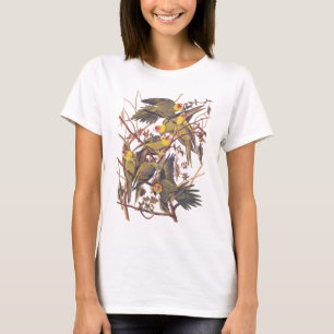 T-shirt La perruque de Caroline d'Audubon