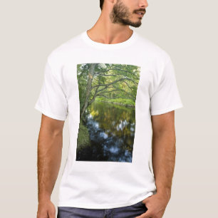 T-shirt La rivière Taunton à Bridgewater,