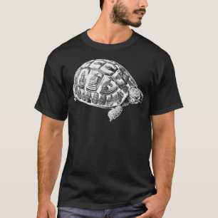 T-shirt La Tortue d'Hermann