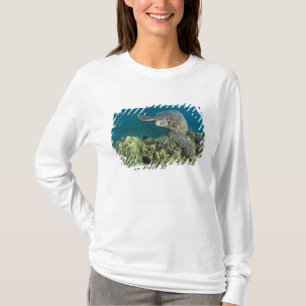 T-shirt La tortue verte, (Chelonia mydas), est la 2