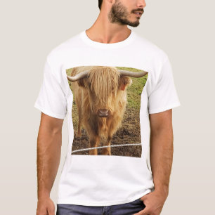 T-shirt La vache des Highlands