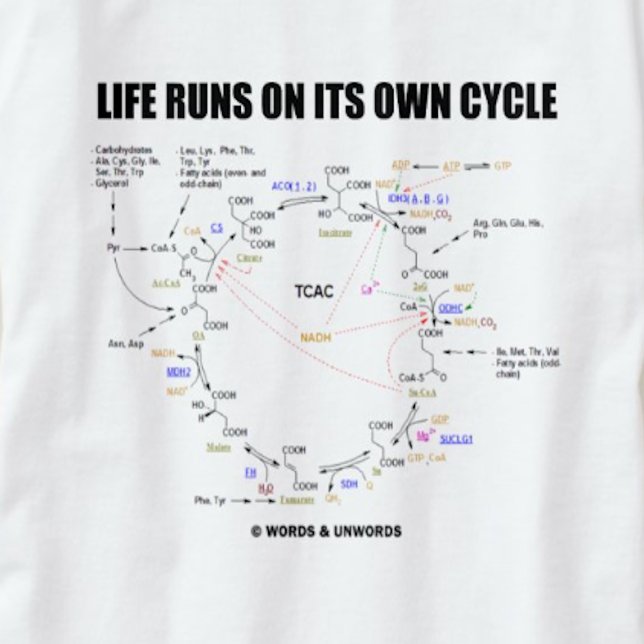 T-shirt La Vie Se Déroule Sur Son Propre Cycle (Cycle Kreb (Krebs cycle (citric acid cycle) humor tee with the scientific saying "Life Runs On Its Own Cycle")