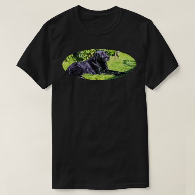 T-shirt labrador (Design devant)