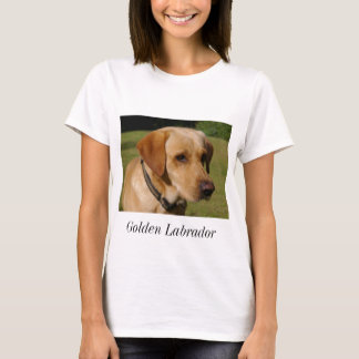 T-shirt Labrador d'or