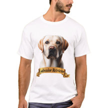 Labrador Retriever amour amical mignon chien doux