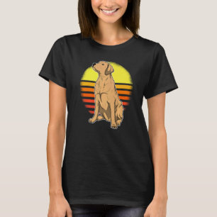 T-shirt Labrador Retriever Chien Coucher de soleil 1