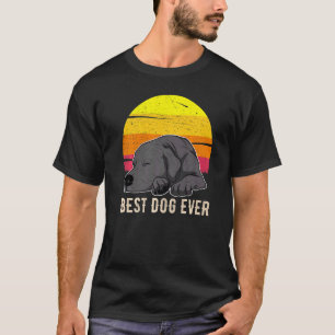 T-shirt Labrador Retriever Chien Sunset 57