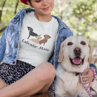 Labrador Retriever Maman Chocolat noir jaune