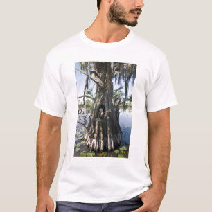 T-shirt Lac Caddo, affût de chasse