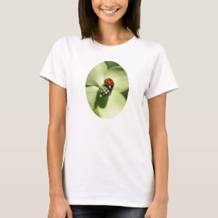 T-shirt Ladybug Sur La Fleur De Dogwood Nature