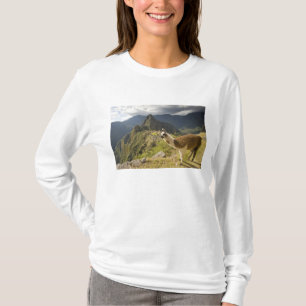 T-shirt Lamas et un regard sur Machu Picchu,