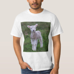 T-shirt Lamb Baby Sheep Farm Animal