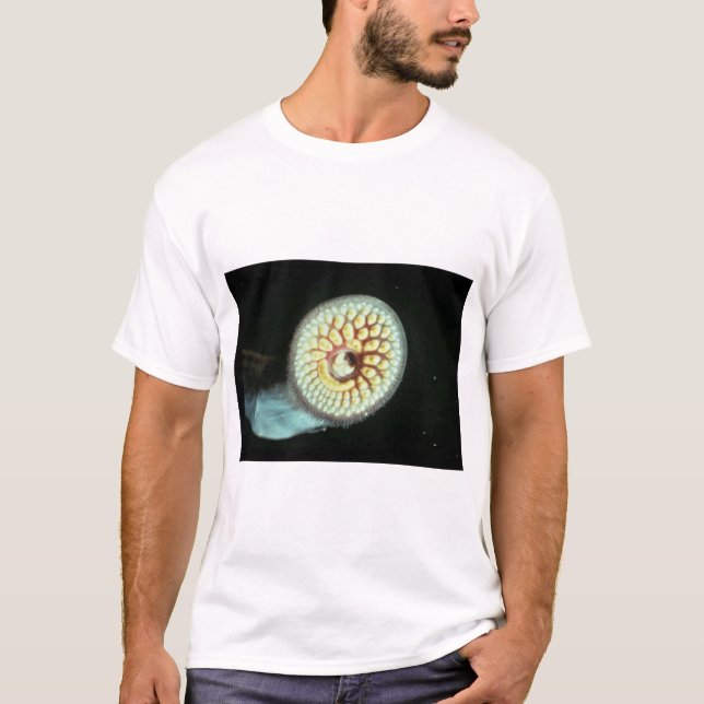 T-shirt Lamproie de mer (Devant)