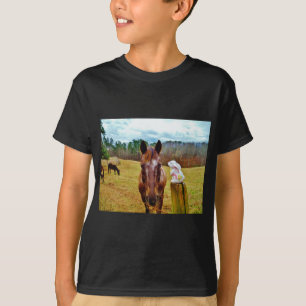 T-shirt Lapin de Pâques et cheval Brown