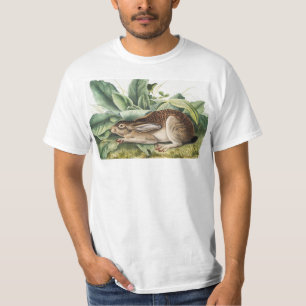 T-shirt Lapin lièvre à queue noire (Lepus negricaudatus)
