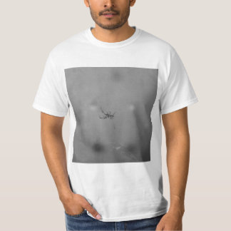 T-shirt Larinioides sclopetarius