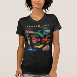 T-shirt Le céphalopode, le calmar et le Nautil