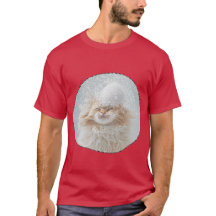 Le chat roux à l’air très détendu, flocons sur la