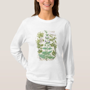 T-shirt Le chèvrefeuille, sauge et s'est levé