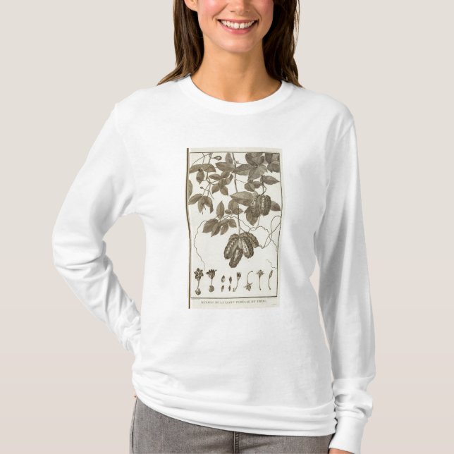 T-shirt Le Chili 5 (Devant)
