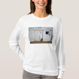 T-shirt Le collage de cheval dirigent la fenêtre de grang