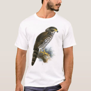 T-shirt Le Congo Serpent-Eagle