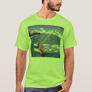 T-shirt le double a dégrossi font de la planche à voile