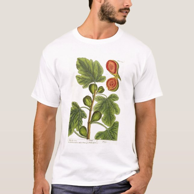T-shirt Le figuier, plaquent 125 "d'un de fines herbes (Devant)