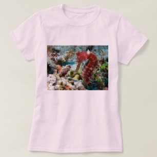 T-shirt Le jardin d'un hippocampe