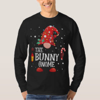 Le lapin Gnome Correspondant Famille Noël Gnome Pa