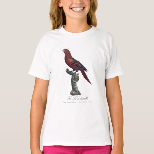 T-shirt Le Lori écaille / Lori à stries bleues 