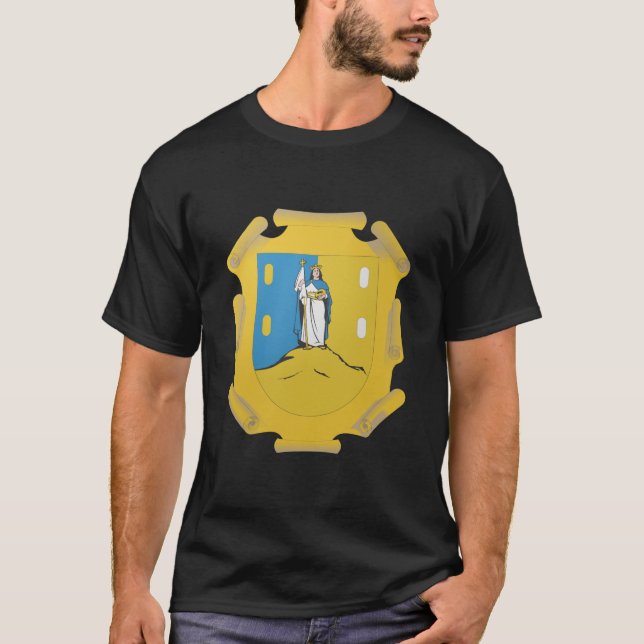 T-shirt Le manteau arme le symbole officiel de Potosi (Devant)