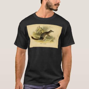 T-shirt Le numbat Myrmecobius fasciatus Ici comme Bandé An