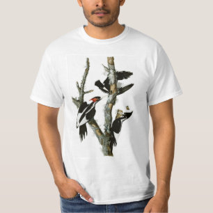 T-shirt Le pivert Ivoire-affiché d'Audubon