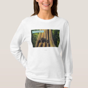 T-shirt Le plus grand arbre enregistré dans l'arbre AVANT