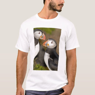 T-shirt Le Puffin Atlantique