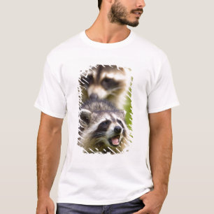 T-shirt Le raton laveur, Procyon lotor, est un mammifère l